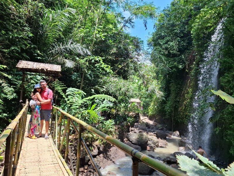 Blue Lagoon Snorkeling and Waterfall Tour