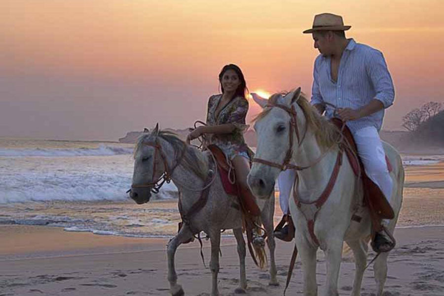 Saba Beach Horse Riding Tour - Image 2