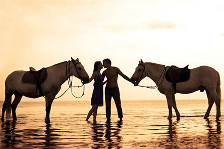 Saba Beach Horse Riding Tour - Image 3