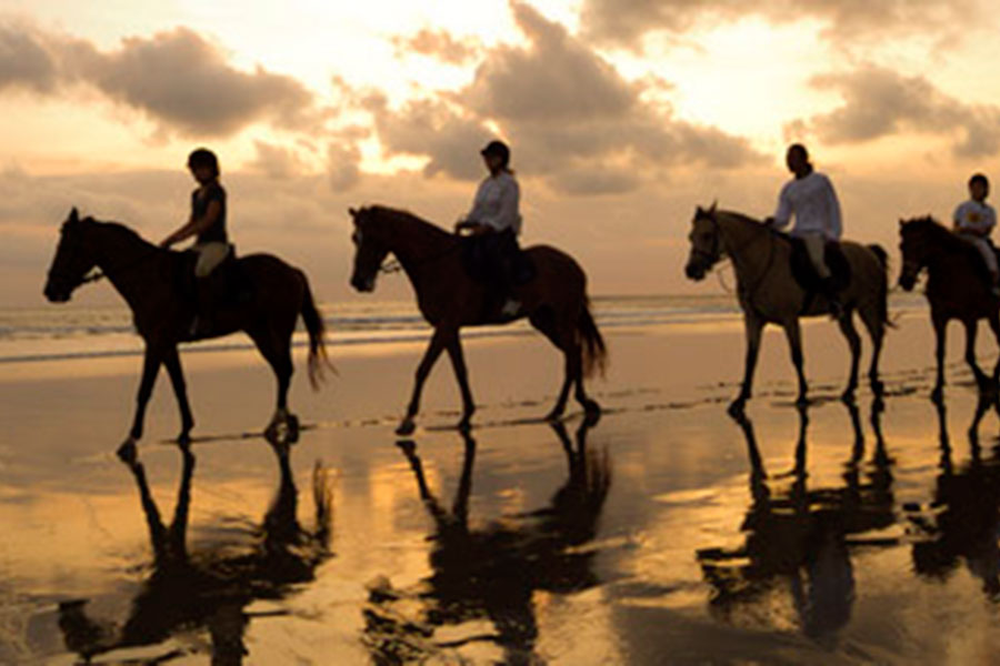 Saba Beach Horse Riding Tour