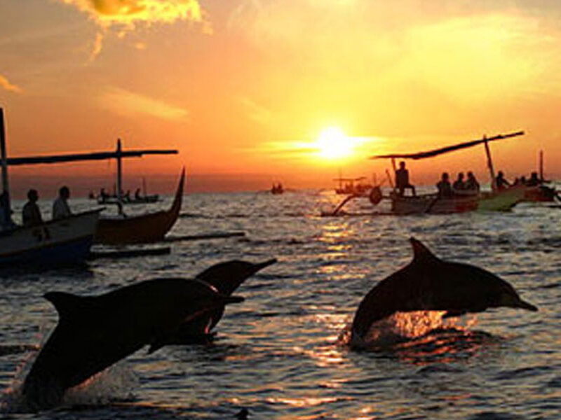 North Bali Tour