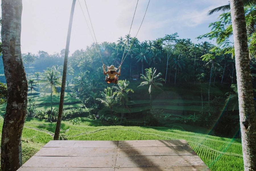 Ubud Jungle Swing Deluxe With Ubud Tours (Ubud Market and Palace) - Image 3